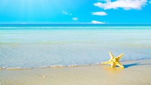 ΤΟ ΓΡΑΦΕΙΟ ΘΑ ΕΙΝΑΙ ΚΛΕΙΣΤΟ ΑΠΟ ΑΠΟ 16/08/2022 - 19/08/2022